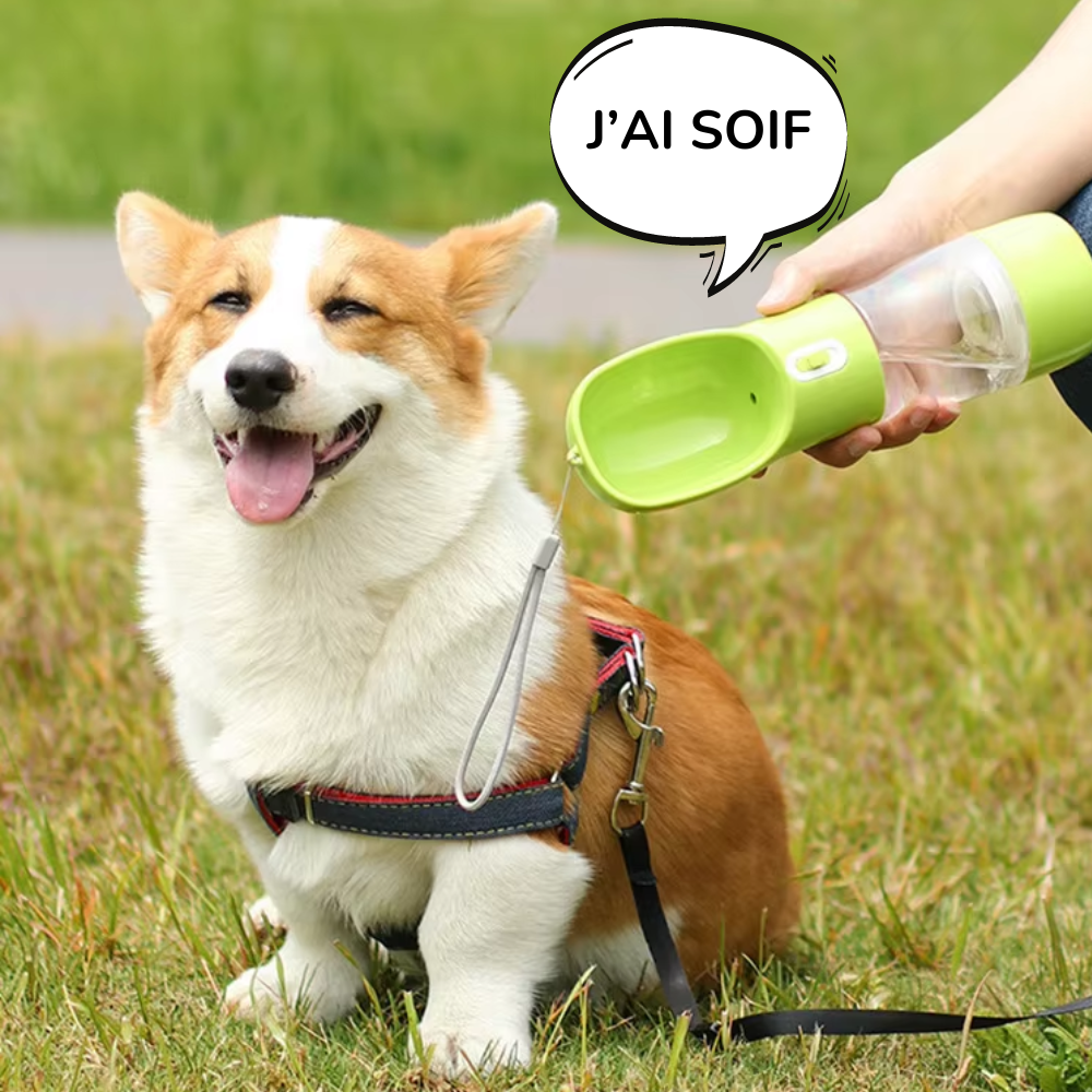 DoubiGourde™ pour Chiens